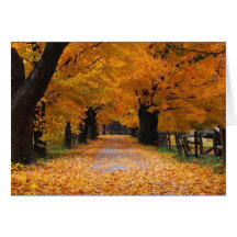 Descendre le chemin de la mémoire de l'automne carte