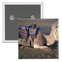 Désert du Sahara près de Merzouga, Maroc Badges