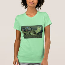 Désert du Sahara près de Merzouga, Maroc T-shirts