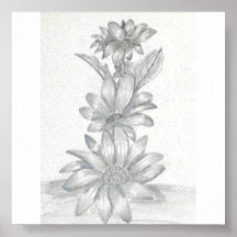 Dessin au crayon floral posters