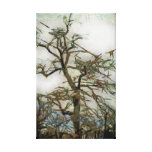 Dessin d'arbre toiles tendues