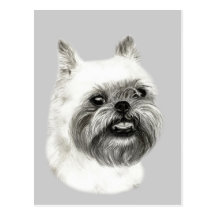 Dessin de chien de griffon de Bruxelles Cartes Postales