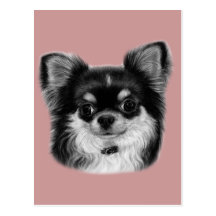 Dessin de chiwawa carte postale