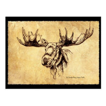 Dessin d'orignaux de Taureau Cartes Postales