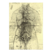Dessin du torse d'une femme par Leonardo da Vinci Carton D'invitation