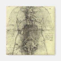 Dessin du torse d'une femme par Leonardo da Vinci Aimant