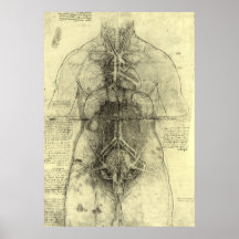 Dessin du torse d'une femme par Leonardo da Vinci Affiche
