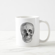 Dessin frontal de vue d'un crâne humain mugs