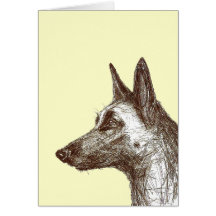 dessin malinois carte de vœux