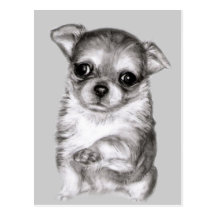 Dessin mignon de chiot de chiwawa cartes postales