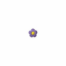 Dessus de fleur