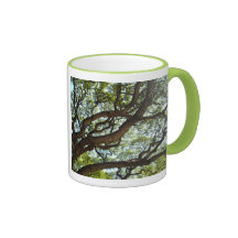 Détail d'arbre, Oahu, Hawaï Tasse