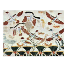 Détail de chasse d'oiseau par le Na de DES de Male Cartes Postales