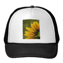 Détail de tournesol casquettes