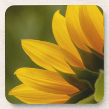 Détail de tournesol sous-bock