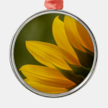 Détail de tournesol ornements