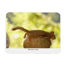 Détente d'écureuil magnet souple