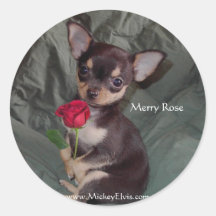 Deux beaux roses autocollants ronds