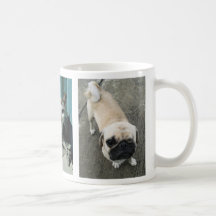 Deux chiens et un chat… Thaïlande de Soi Mug