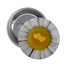 Deux coeurs sur la marguerite des prés badge avec épingle