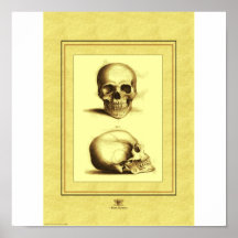 Deux crânes affiches