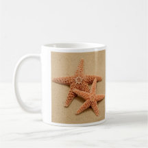 Deux étoiles de mer de sucre tasse