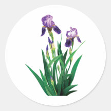 Deux iris pourpres autocollant rond