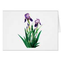 Deux iris pourpres carte