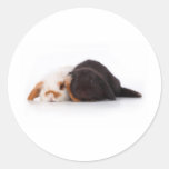 Deux lapins mignons de bébé adhésifs