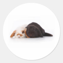 Deux lapins mignons de bébé adhésifs