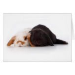 Deux lapins mignons de bébé carte de vœux
