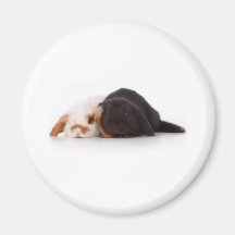 Deux lapins mignons de bébé magnets