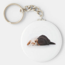 Deux lapins mignons de bébé porte-clef