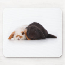 Deux lapins mignons de bébé tapis de souris