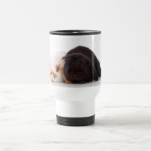 Deux lapins mignons de bébé tasse