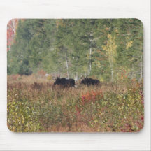 Deux orignaux de Taureau Tapis De Souris
