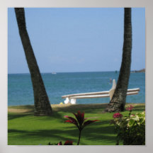 Deux paumes dans Kauai Affiche