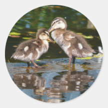Deux peu de Duckies Adhésif Rond