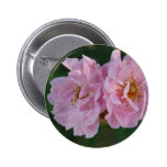 Deux roses roses badge avec épingle