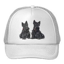 Deux terriers écossais noirs casquette de camionneur