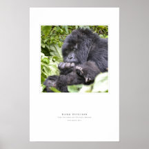 Dévotion sans visibilité poster