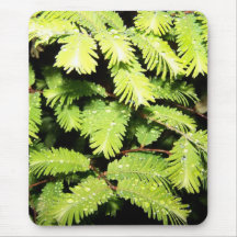 Dew4U Tapis De Souris