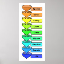 Diagramme de classification biologique de la vie o posters
