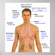 Diagramme des symptômes principaux du diabète chez posters