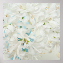 Diamond Lily ポスター