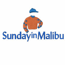Dimanche dans Malibu a brodé le modèle Vestes