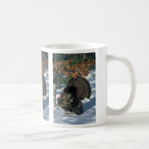 Dinde sauvage orientale, dindon énorme dans la ple tasse