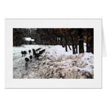 Dindes sauvages dans la ruelle carte de vœux