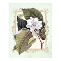 Dîner formel de belle magnolia blanche invitations