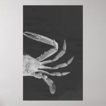 Diptyque I de crabe dans le gris Poster